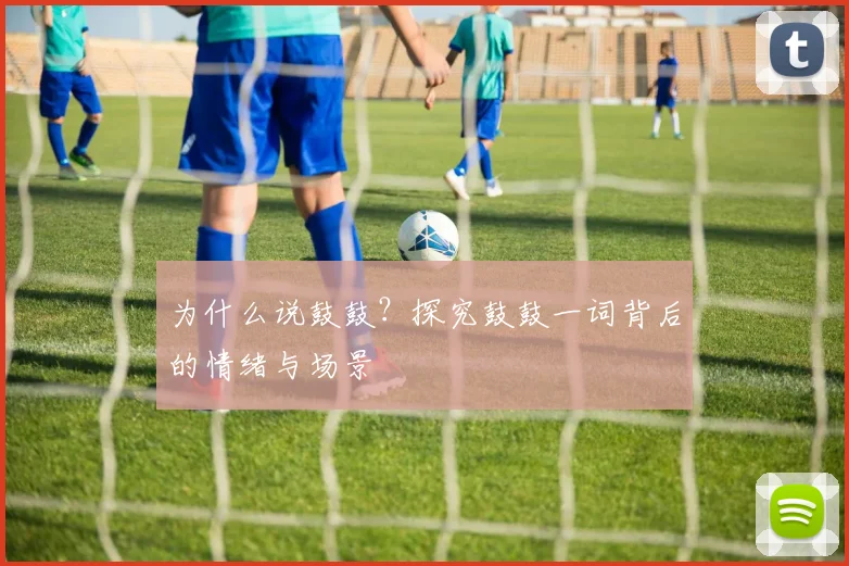 为什么说鼓鼓?探究鼓鼓一词背后的情绪与场景