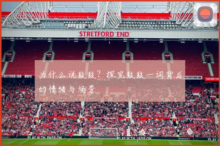 为什么说鼓鼓?探究鼓鼓一词背后的情绪与场景